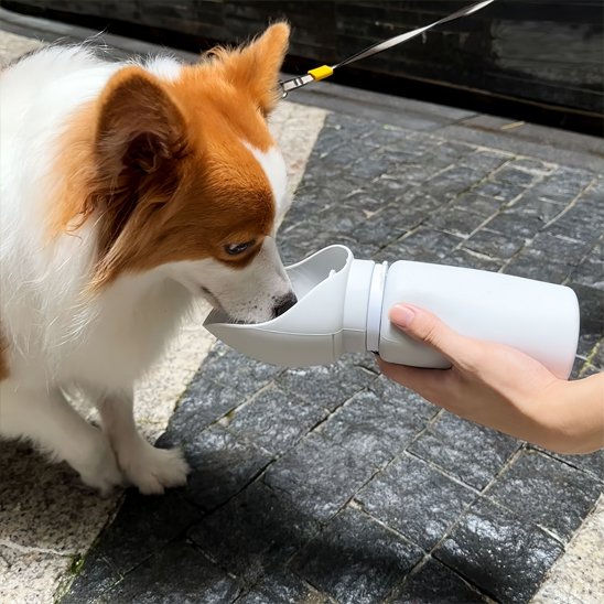 Gourde-chien-Portable-&-Hygiénique