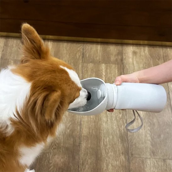 Gourde-chien-Portable-&-Hygiénique