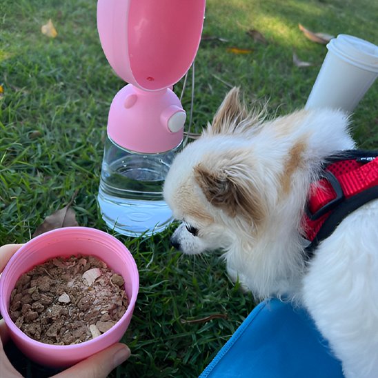 Gourde-pour-chien-Bol-d'eau-portable