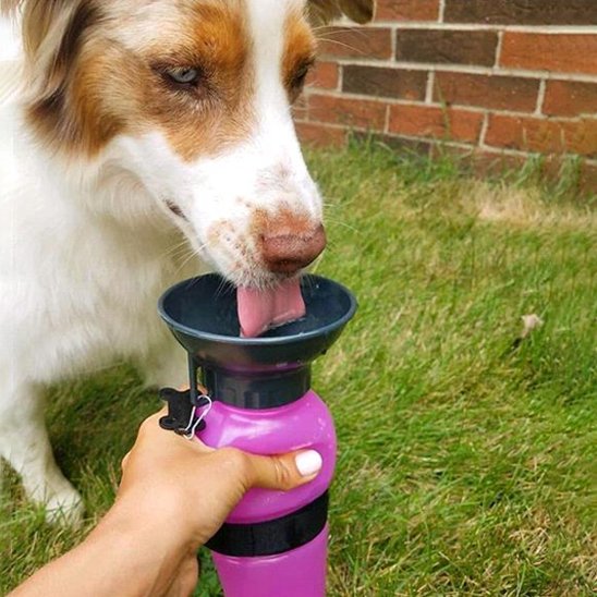 Gourde-pour-chien-Bouteille-entonnoir