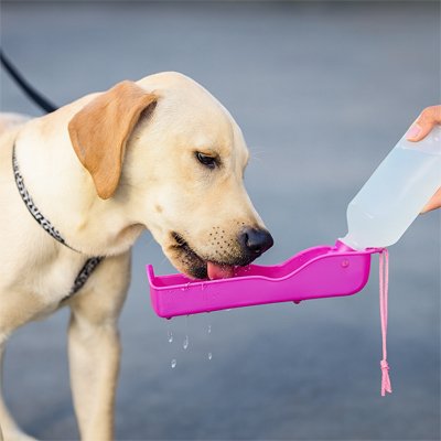 Gourde-pour-chien-Hydratrail