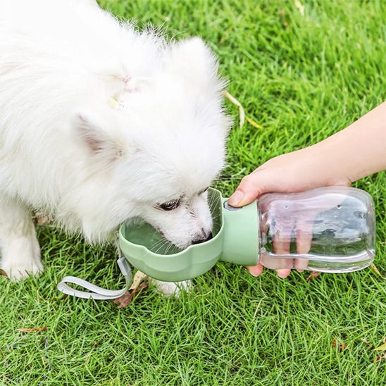 Gourde-pour-chien-Portable-trèfle