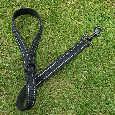 Laisse pour chien robuste | PawControl