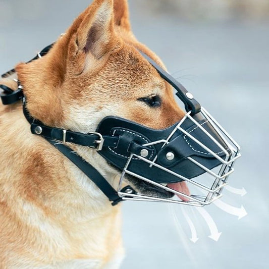 Muselière-pour-chien-confort-sécurité