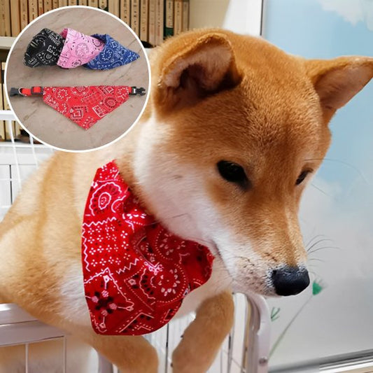 Collier pour chien | Foulard confort