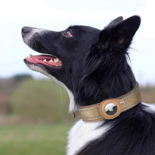 Collier-gps-chien-khaki