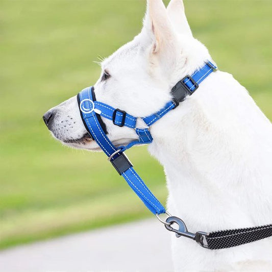 Muselière-chien-confort-lanière