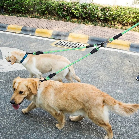 Laisse-double-pour-chien_PetControl-Y