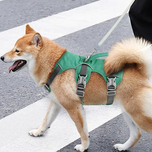Harnais chien | ComfortSecure