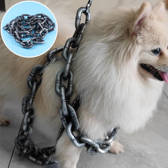 Laisse-pour-chien-DogSecure