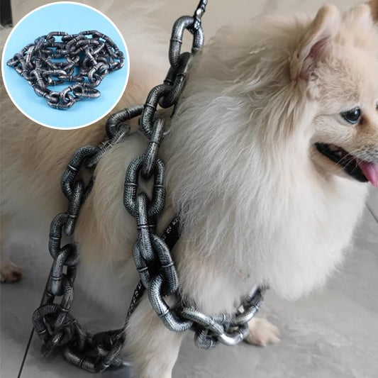 Laisse-pour-chien-DogSecure
