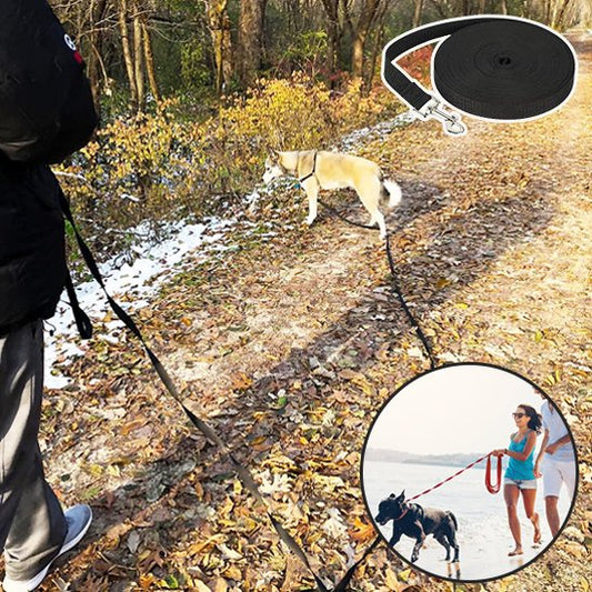 Longe-pour-chien-image