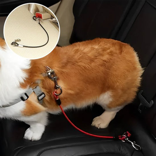 Laisse pour chien | Résistante pour voiture