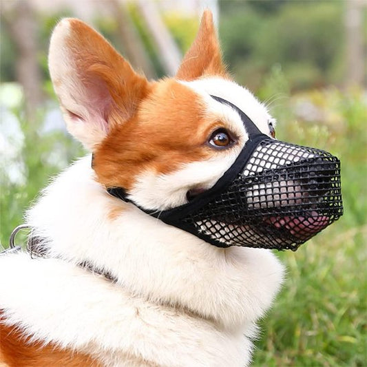 Muselière-chien-Confort-Secure