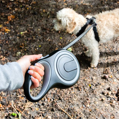 Laisse-pour-chien-enrouleur-rétractable