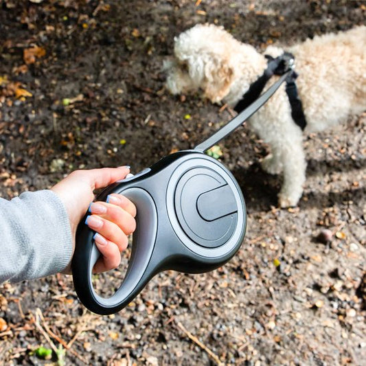 Laisse-pour-chien-enrouleur-rétractable