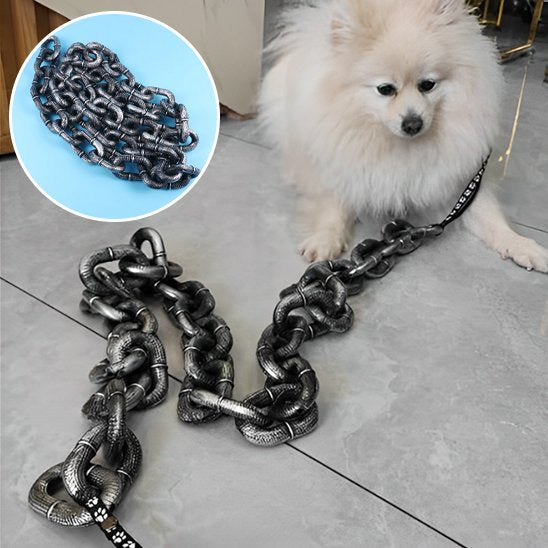 Laisse-pour-chien-DogSecure