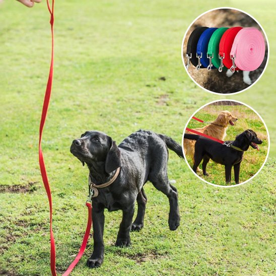 Longe-pour-chien-image