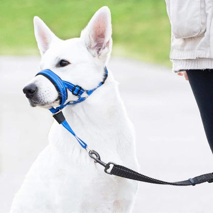 Muselière-chien-confort-lanière