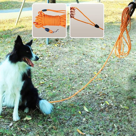 Longe pour Chien | PawFreedom