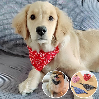 Collier pour chien | Foulard confort