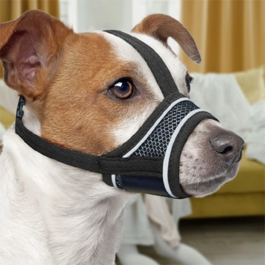Muselière pour chien | Confort Sécurité