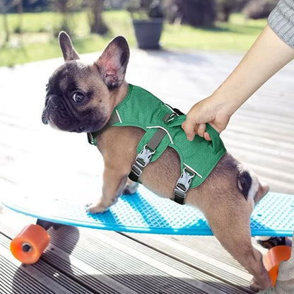 Harnais chien | ComfortSecure