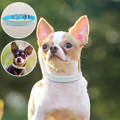 Collier-en-cuir-pour-chien-diamants