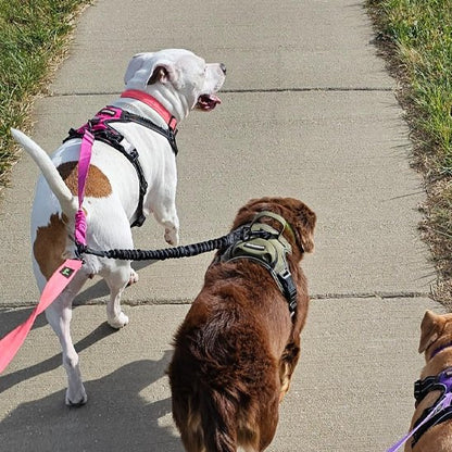 Laisse-double-pour-chien_Anti-enchevêtrement