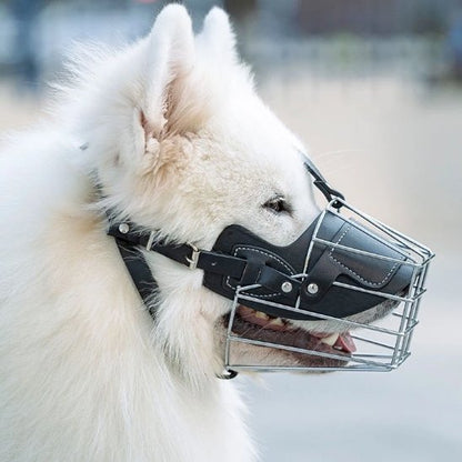 Muselière-pour-chien-confort-sécurité