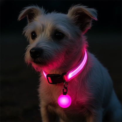 Collier-lumineux-pour-chien