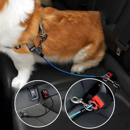 Laisse pour chien | Résistante pour voiture