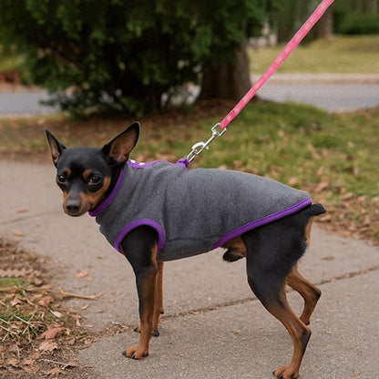 Manteau-pour-chien-impermeable-et-chaleureux