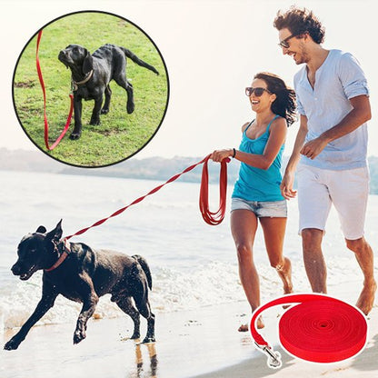 Longe-pour-chien-image