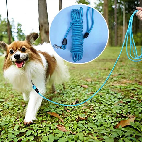 Longe pour Chien | PawFreedom