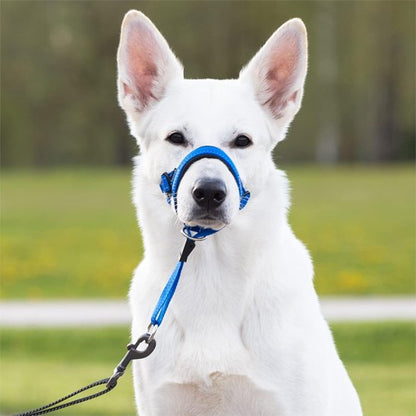Muselière-chien-confort-lanière
