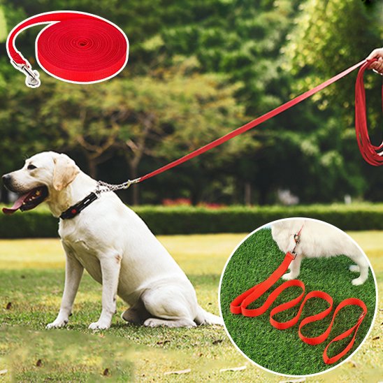 Longe-pour-chien-rouge