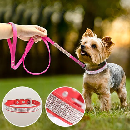 Collier-en-cuir-pour-chien-diamants