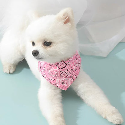 Collier pour chien | Foulard confort