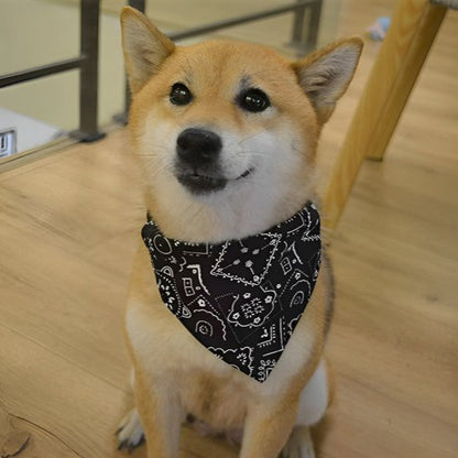 Collier pour chien | Foulard confort