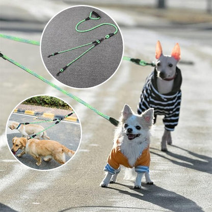 Laisse-double-pour-chien_PetControl-Y