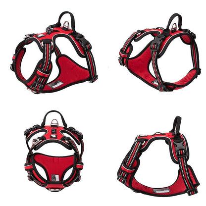 SafetyHarness™ - Harnais pour animal de compagnie - Chienspassionnes