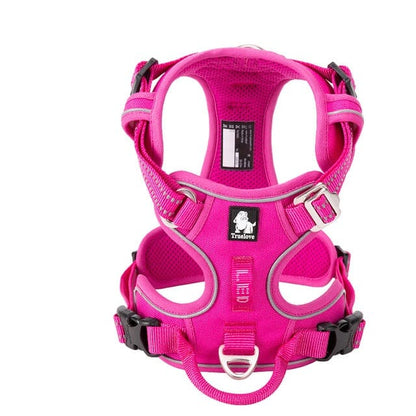 SafetyHarness™ - Harnais pour animal de compagnie - Chienspassionnes
