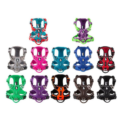 SafetyHarness™ - Harnais pour animal de compagnie - Chienspassionnes