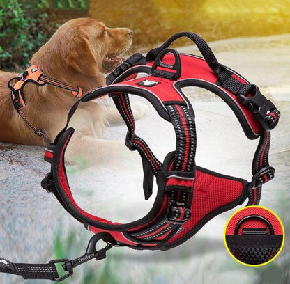SafetyHarness™ - Harnais pour animal de compagnie - Chienspassionnes