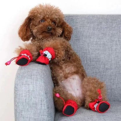 SetChiensWaterproofChaussettes™ - Chienspassionnes