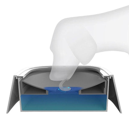 WaterBowl™ | Bol pour chien | CHIEN - Chienspassionnes