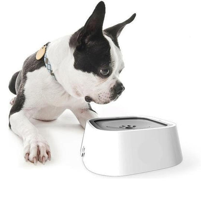 WaterBowl™ | Bol pour chien | CHIEN - Chienspassionnes
