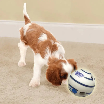 BalleJouetInteractifPourChiens™